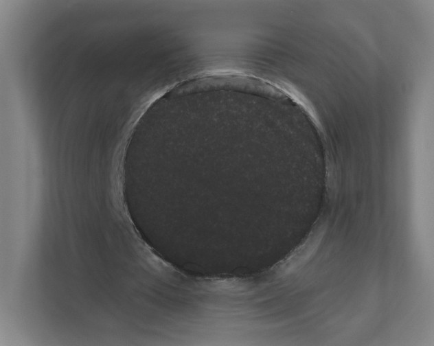 X0000111460385200908101059