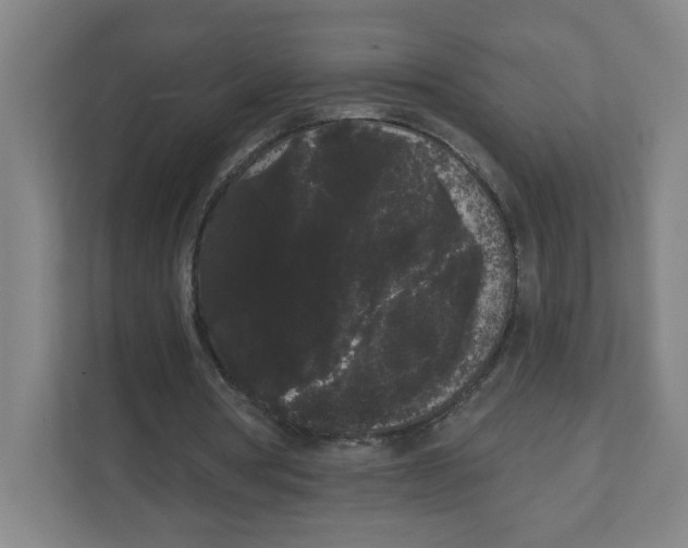 X0000111460386200908101059