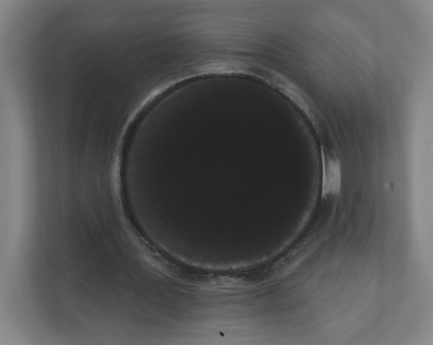 X0000111460387200908101059