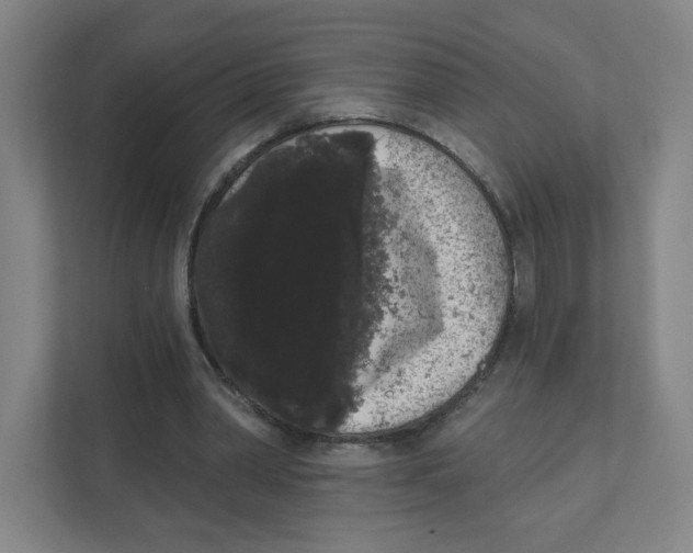 X0000111460390200908101059