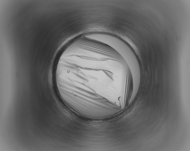 X0000111460391200908101059