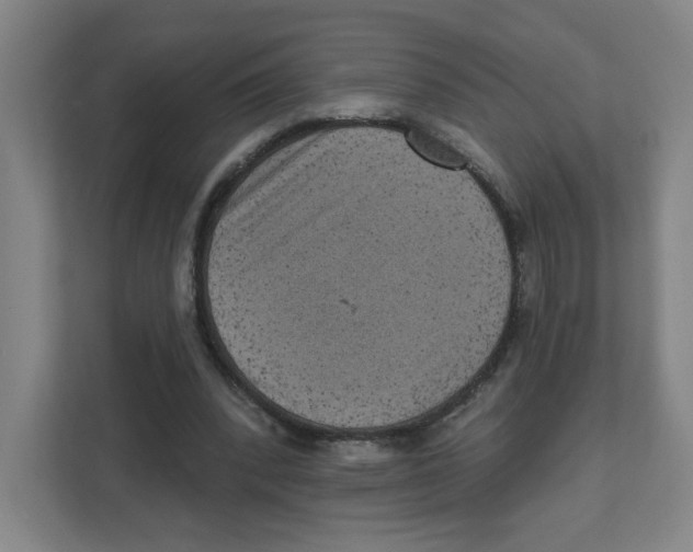 X0000111460392200908101059