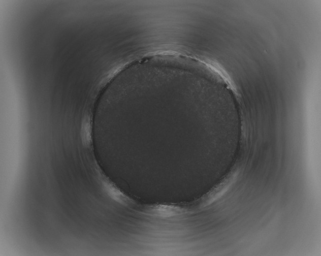 X0000111460393200908101059