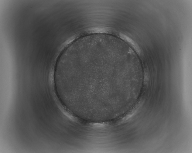 X0000111460394200908101059