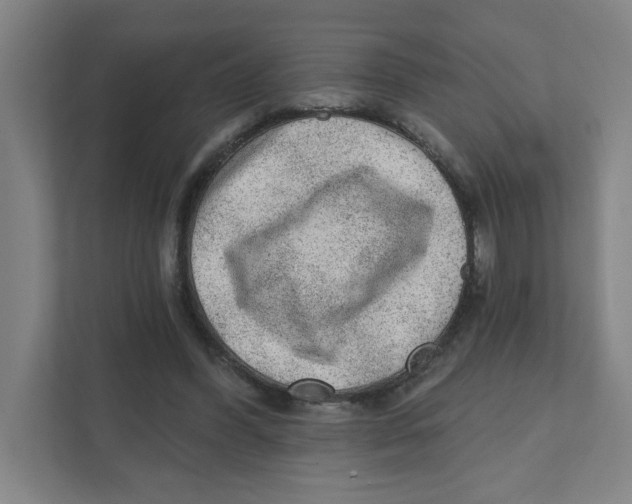 X0000111460396200908101059