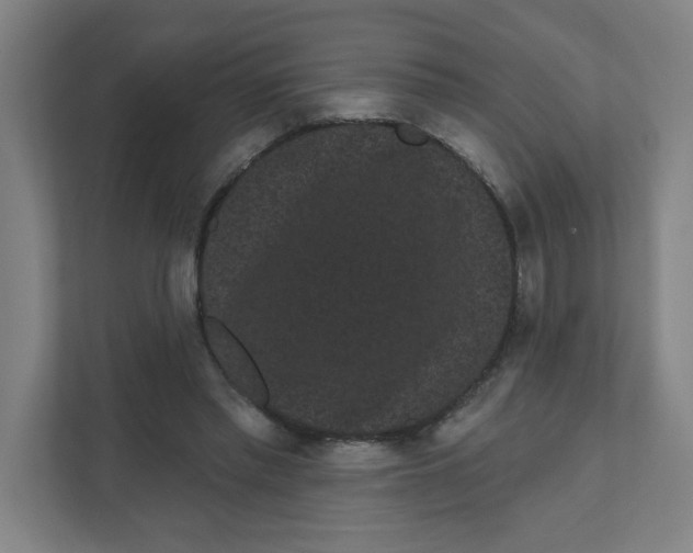 X0000111460397200908101058