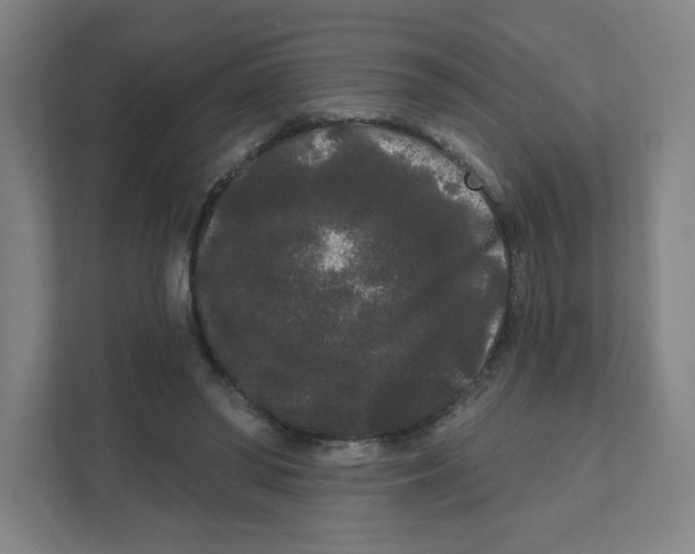 X0000111460398200908101058
