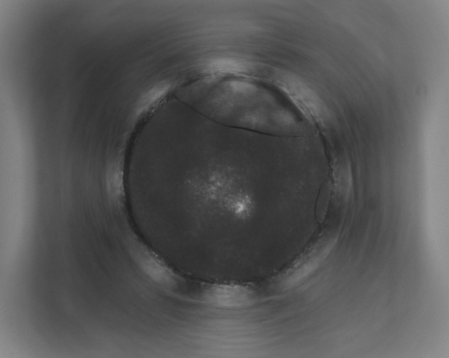 X0000111460399200908101058