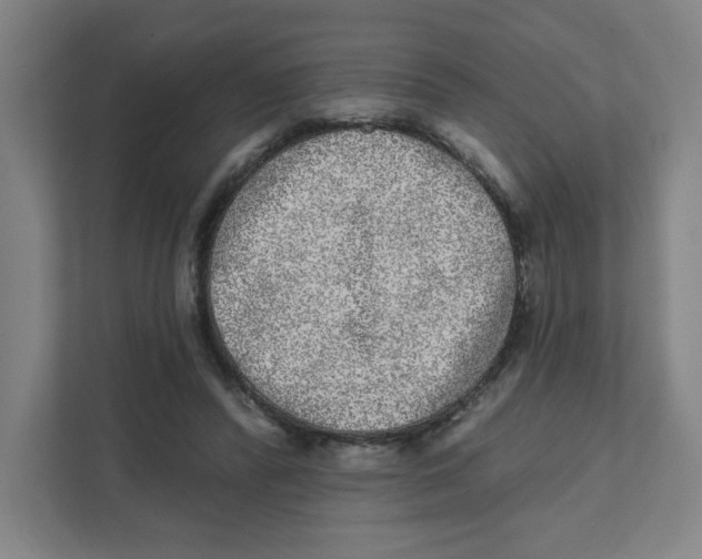 X0000111460400200908101058