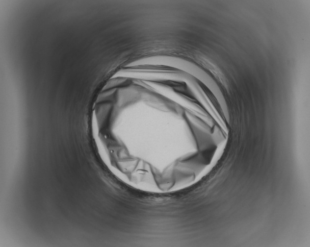 X0000111460401200908101058