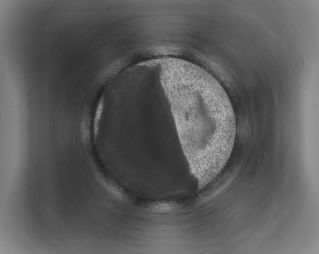 X0000111460402200908101058