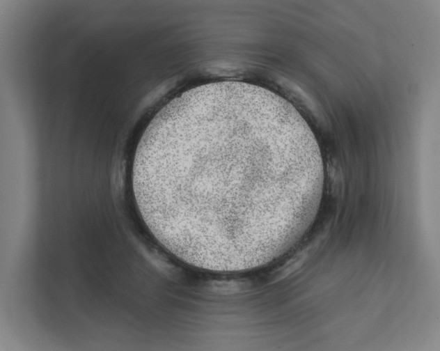 X0000111460404200908101058