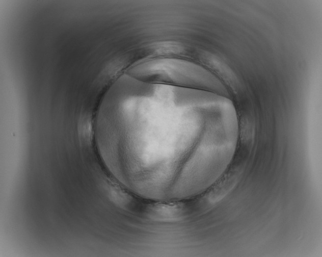 X0000111460405200908101058