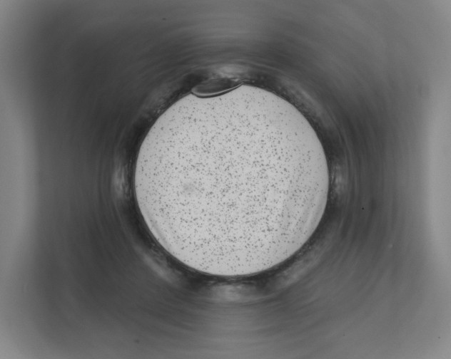 X0000111460408200908101058