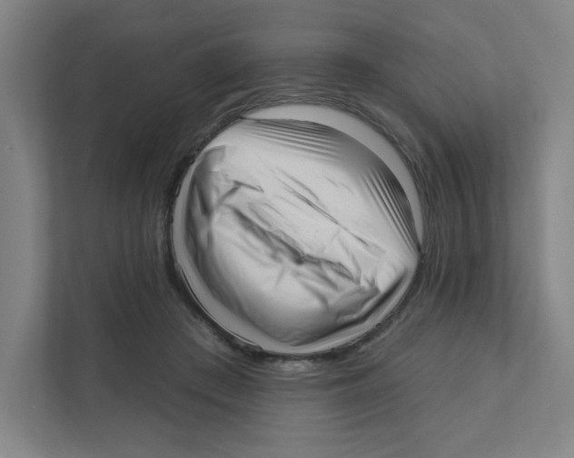X0000111460409200908101058