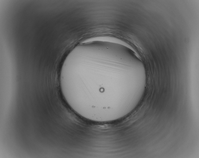 X0000111460411200908101058