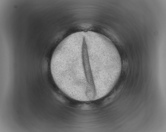 X0000111460412200908101058
