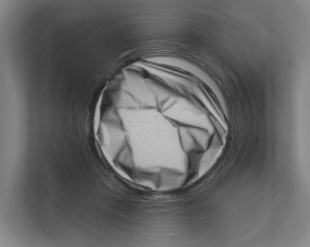 X0000111460413200908101058