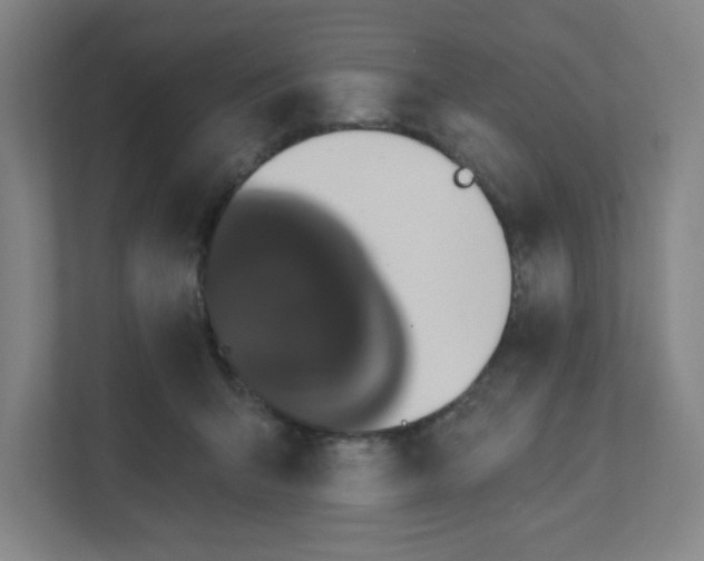 X0000111460415200908101058