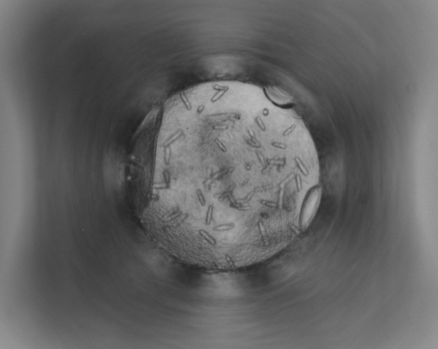 X0000111460417200908101058