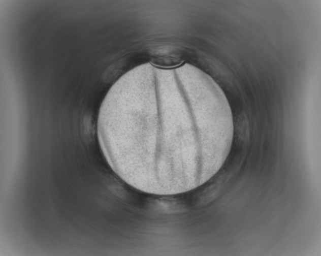 X0000111460420200908101058