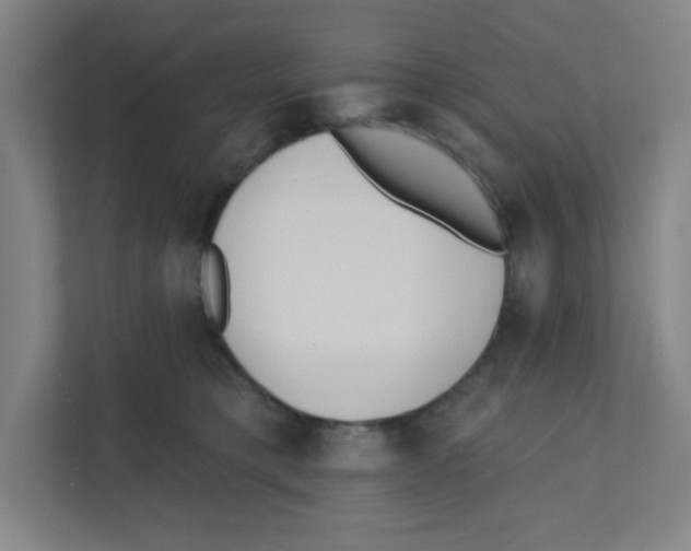 X0000111460421200908101058