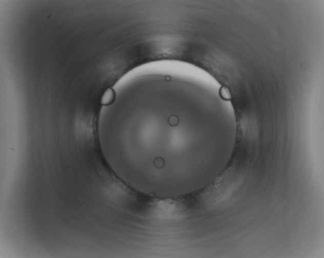 X0000111460423200908101058