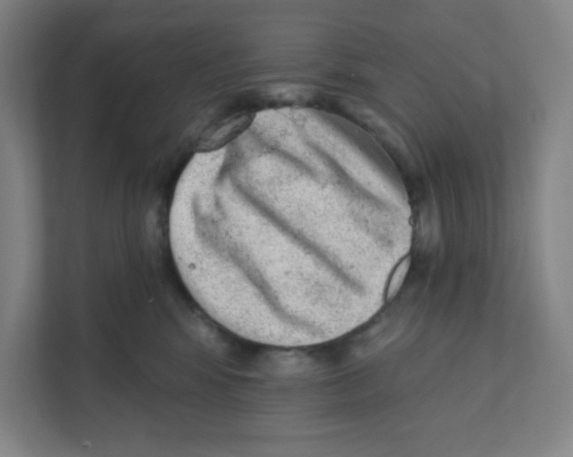 X0000111460424200908101058