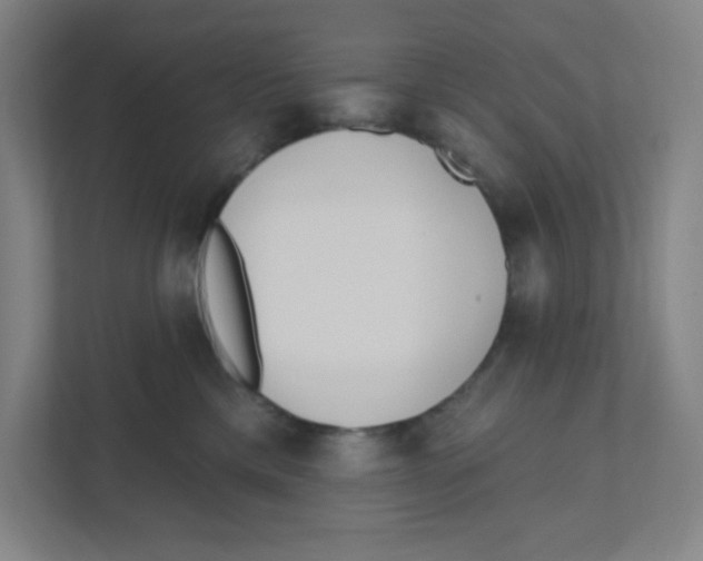X0000111460425200908101058
