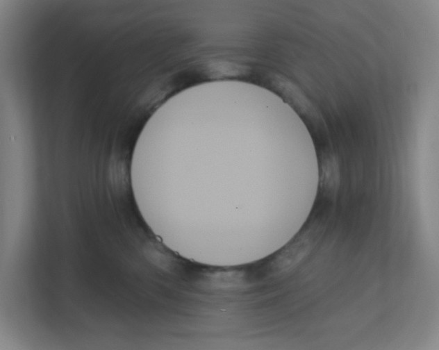 X0000111460426200908101058