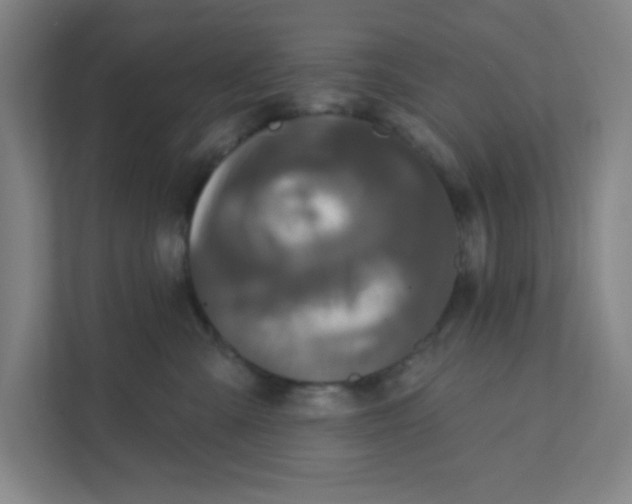 X0000111460427200908101058