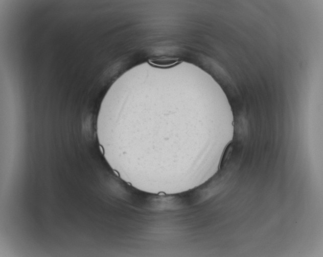 X0000111460428200908101058