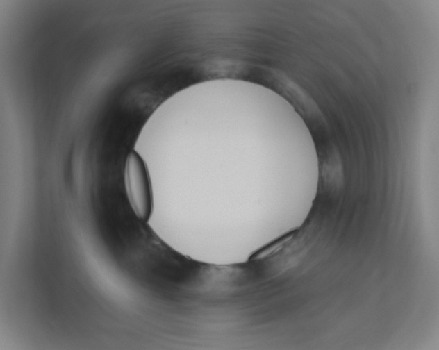 X0000111460429200908101058