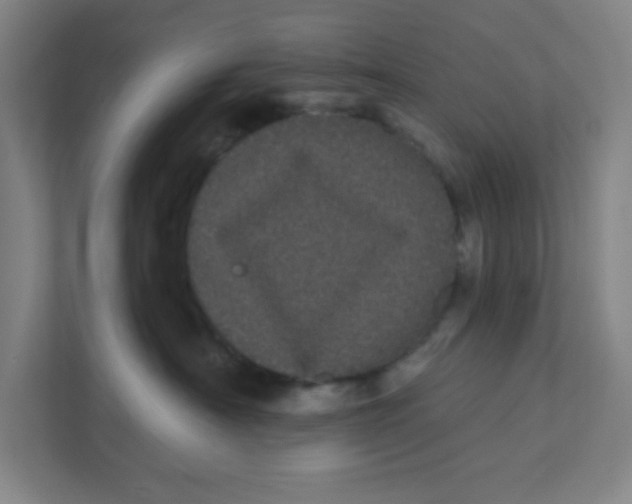 X0000111460430200908101058