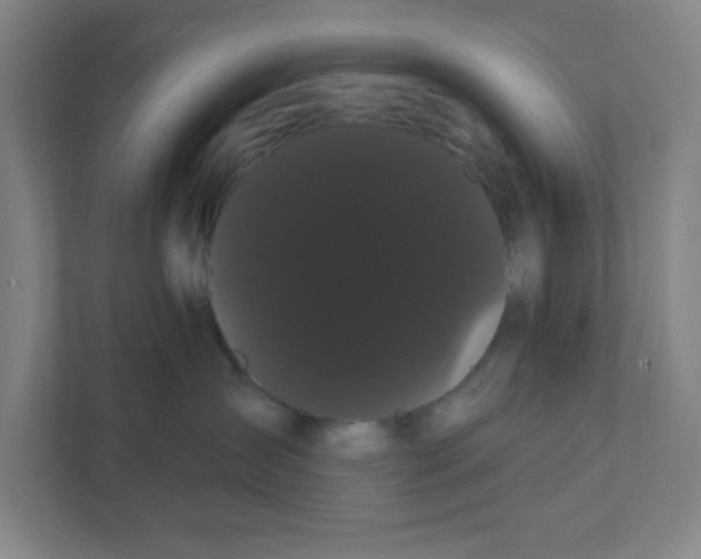 X0000111460431200908101058