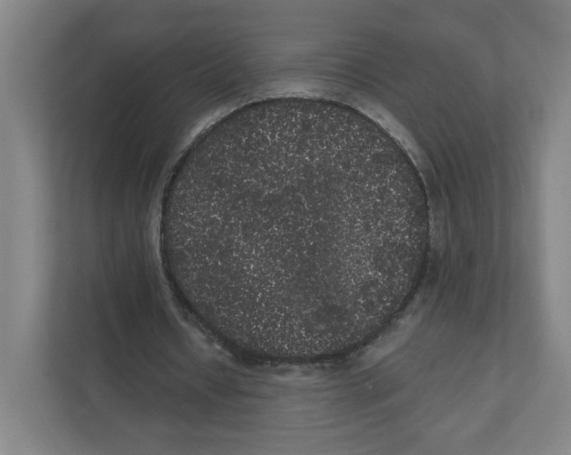X0000111460434200908101057