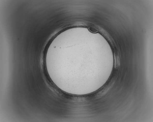 X0000111460435200908101057