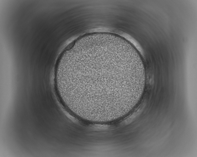 X0000111460437200908101057