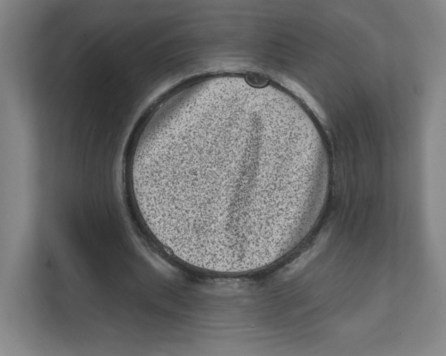 X0000111460439200908101057