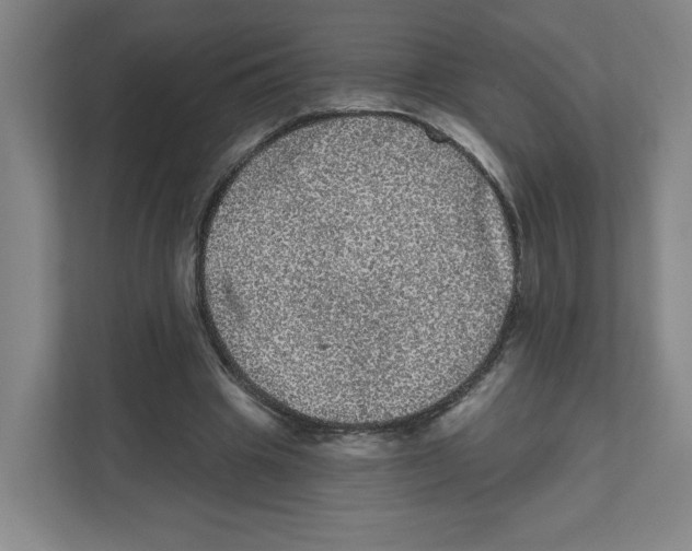 X0000111460441200908101058