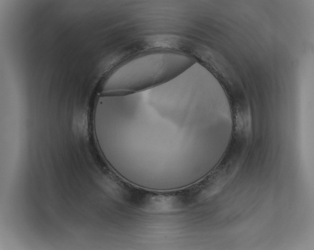 X0000111460444200908101058