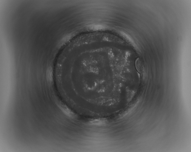 X0000111460447200908101058