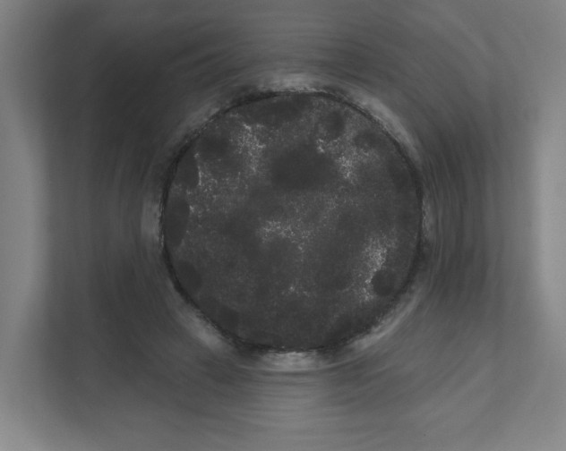 X0000111460449200908101058