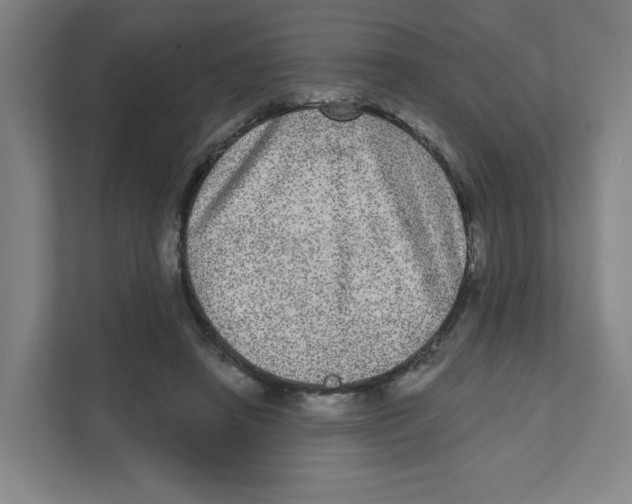 X0000111460450200908101058