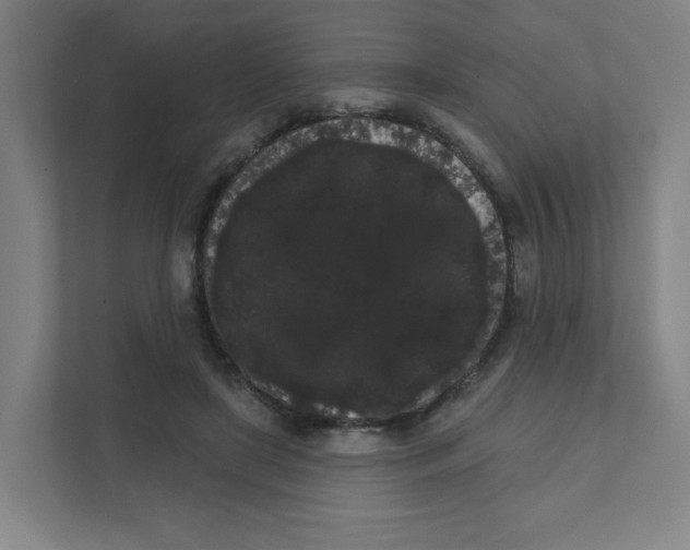 X0000111460451200908101058