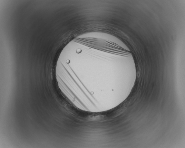 X0000111460452200908101058