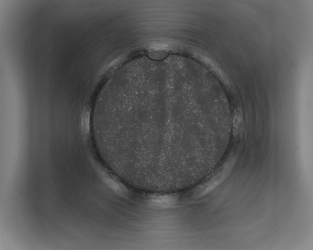 X0000111460454200908101058