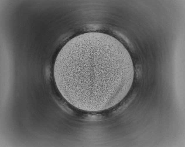 X0000111460455200908101058
