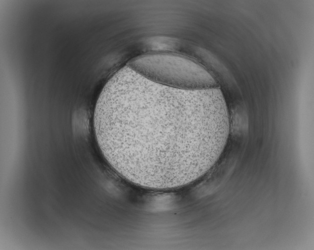 X0000111460456200908101058