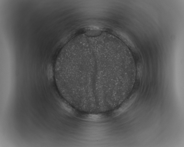 X0000111460457200908101058